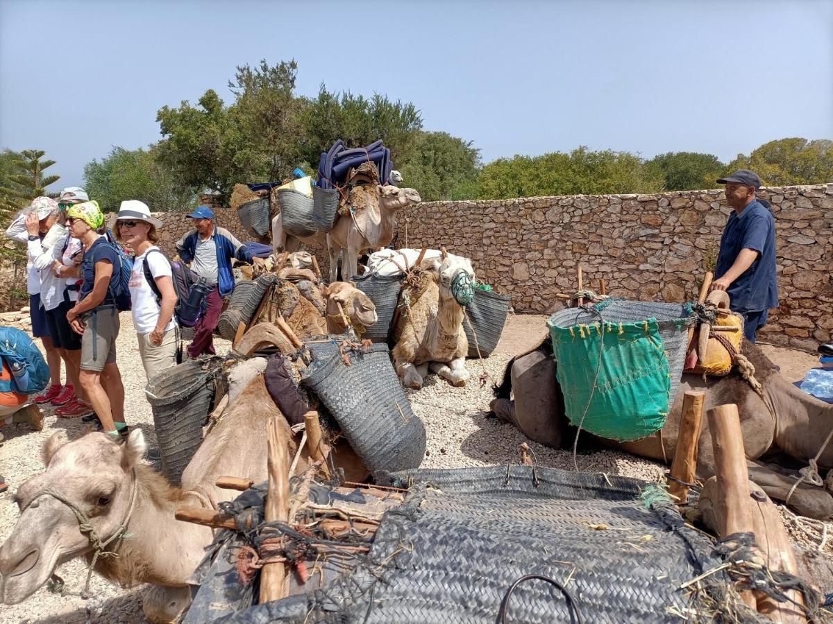 Maison d'hôtes Dar Albatros à Sidi Kaouki Extérieur photo