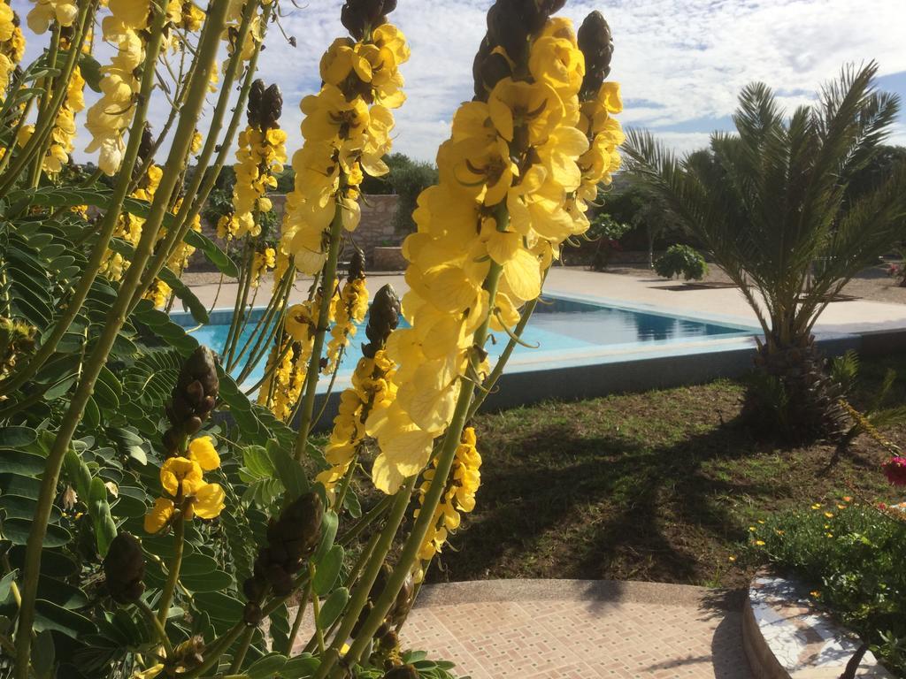 Maison d'hôtes Dar Albatros à Sidi Kaouki Extérieur photo