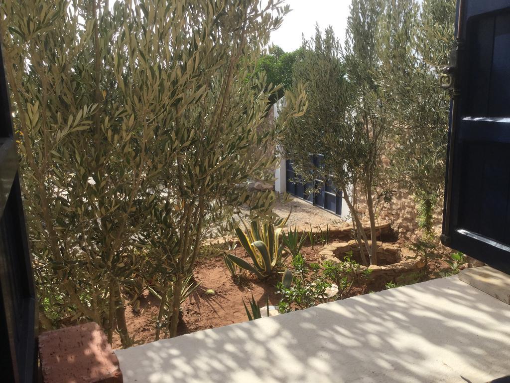 Maison d'hôtes Dar Albatros à Sidi Kaouki Extérieur photo